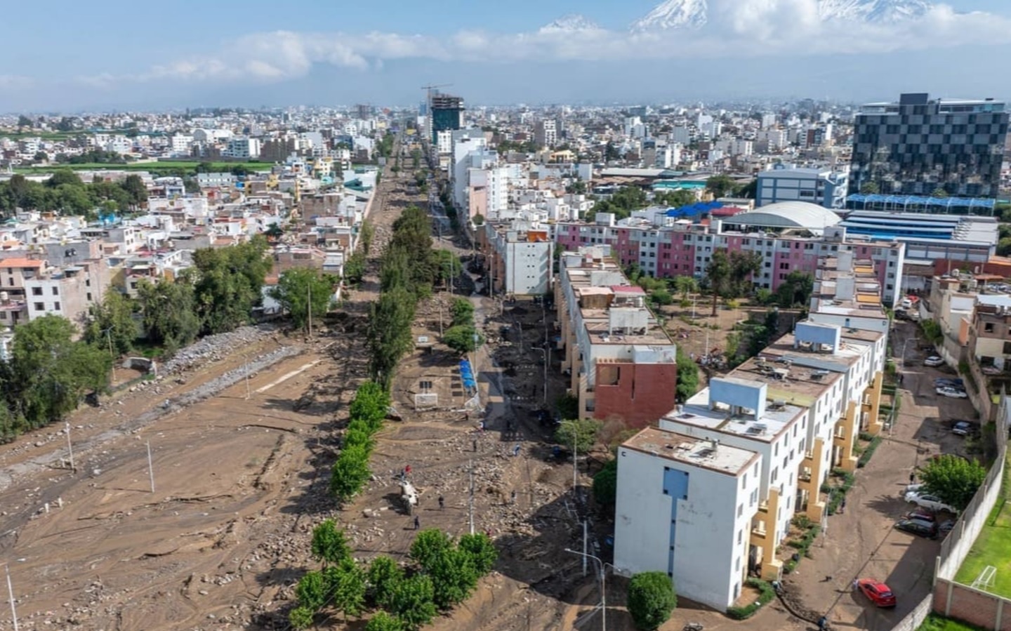 Autoridades ausentes: la deuda con Flora Tristán