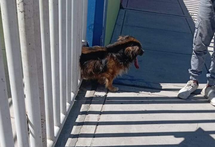 FOTO DE HOY VIERNES 17 DE ABRIL