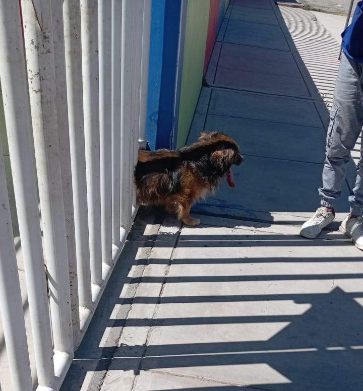 FOTO DE HOY VIERNES 17 DE ABRIL