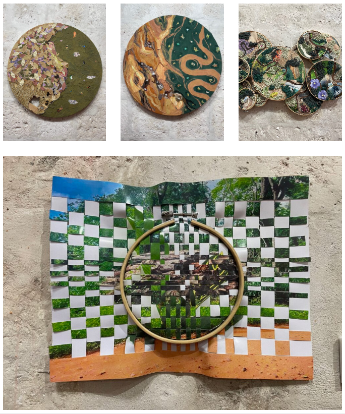 “VISION AMAZÓNICA”, UNA PROPUESTA ORIGINAL