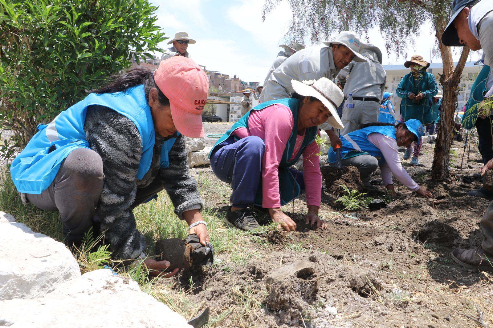 Arequipa busca recuperar masa arbórea tras décadas sin parques de gran escala