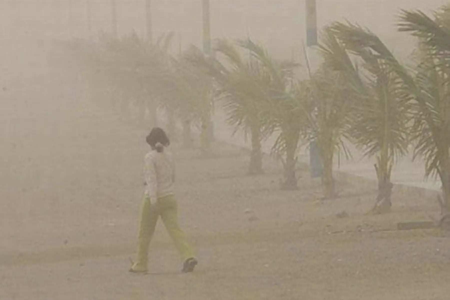 Alerta por vientos en la Costa: podrían levantar polvo y reducir la visibilidad