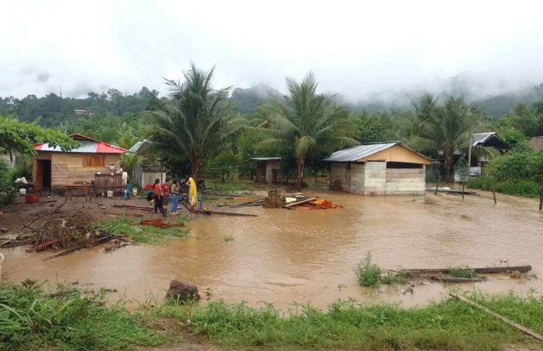 Intensifican acciones de emergencia en ríos de la selva central ante lluvias