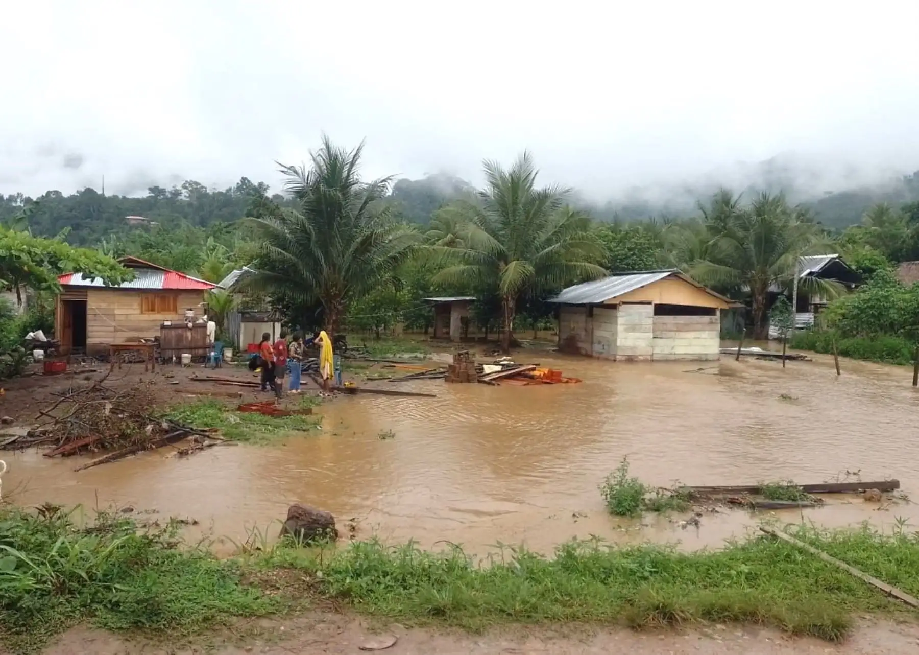 Intensifican acciones de emergencia en ríos de la selva central ante lluvias