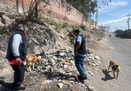 Salud fortalece acciones de prevención y vigilancia contra la rabia canina