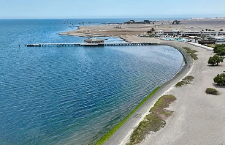 ¿Vas a la playa en Semana Santa? recomendaciones para no contaminar