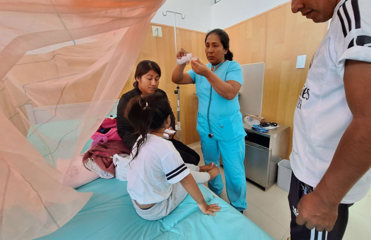 Arequipa en alerta sanitaria por incremento de tos ferina