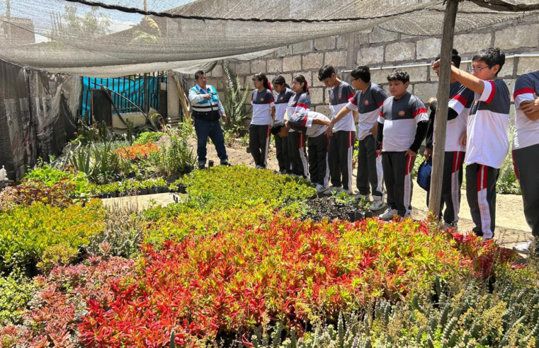 Se posiciona como el distrito con más áreas verdes en Arequipa