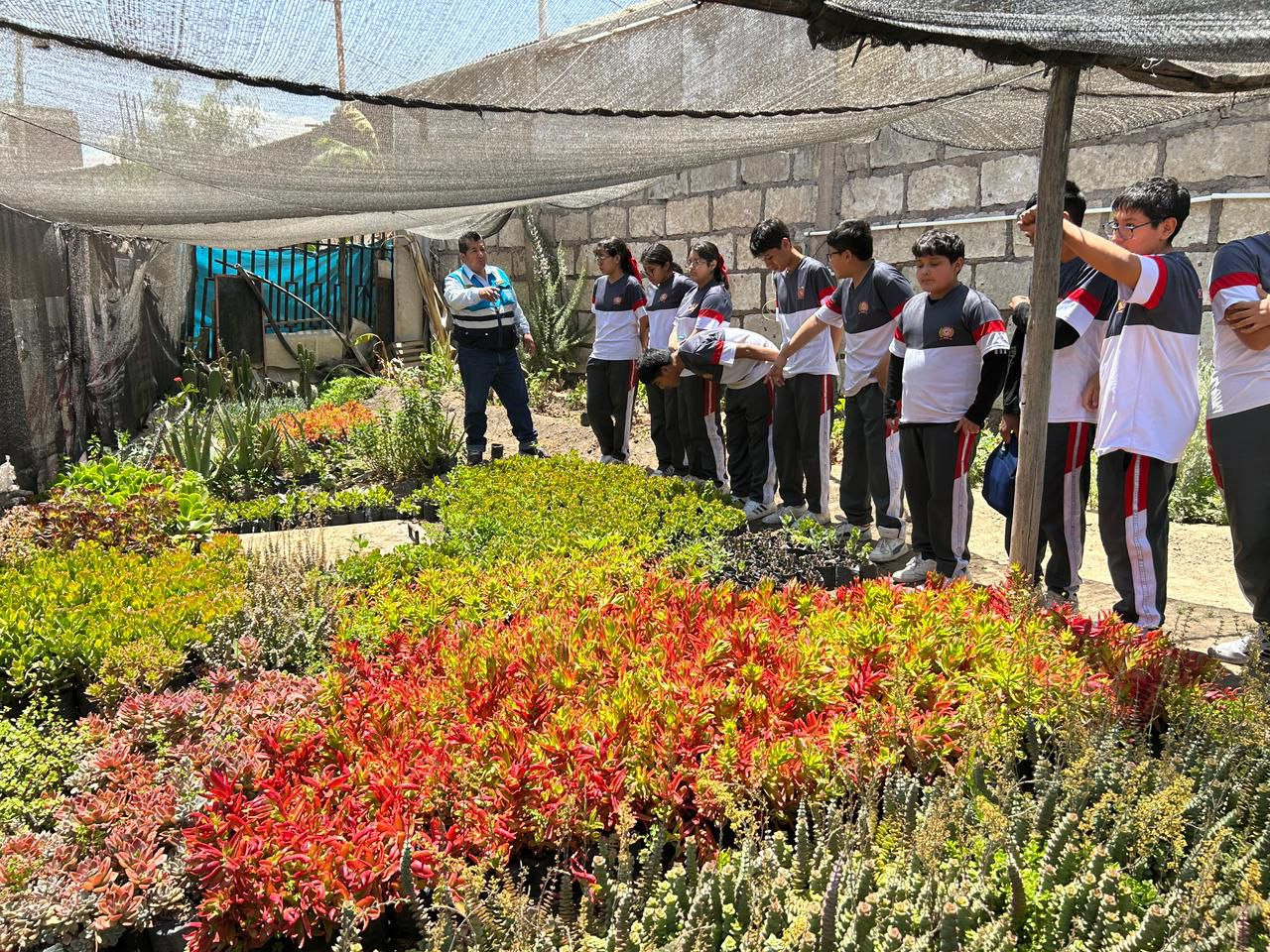 Se posiciona como el distrito con más áreas verdes en Arequipa