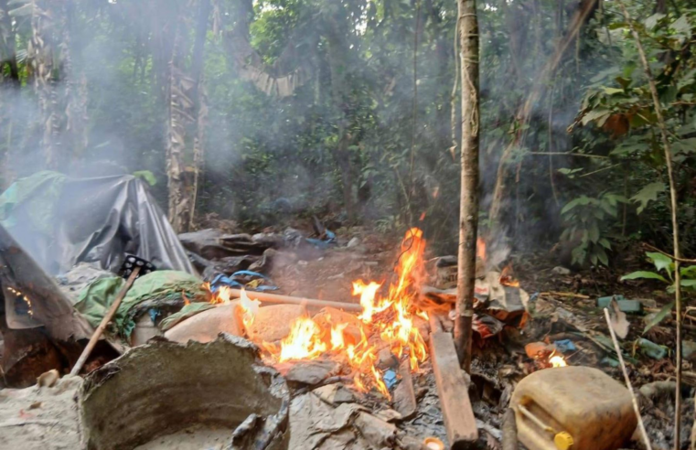 Ejército destruye 12 laboratorios clandestinos y toneladas de hoja de coca