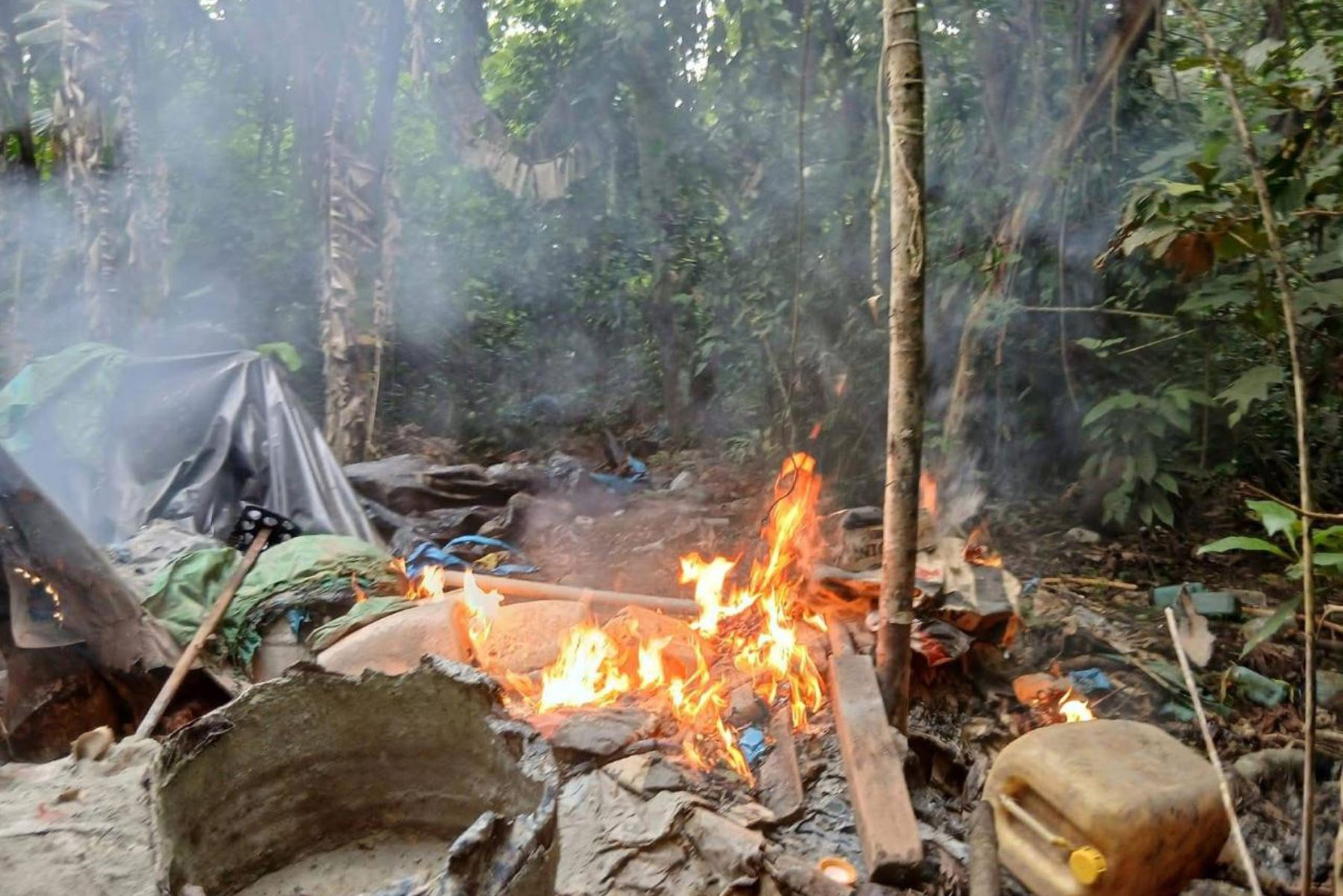 Ejército destruye 12 laboratorios clandestinos y toneladas de hoja de coca