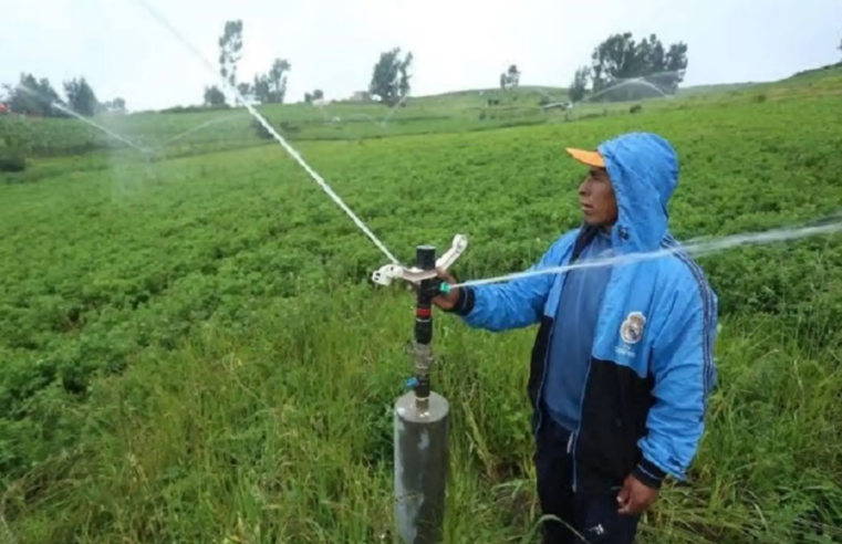 Invierten S/ 26 millones para mejorar riego agrícola en cuatro regiones