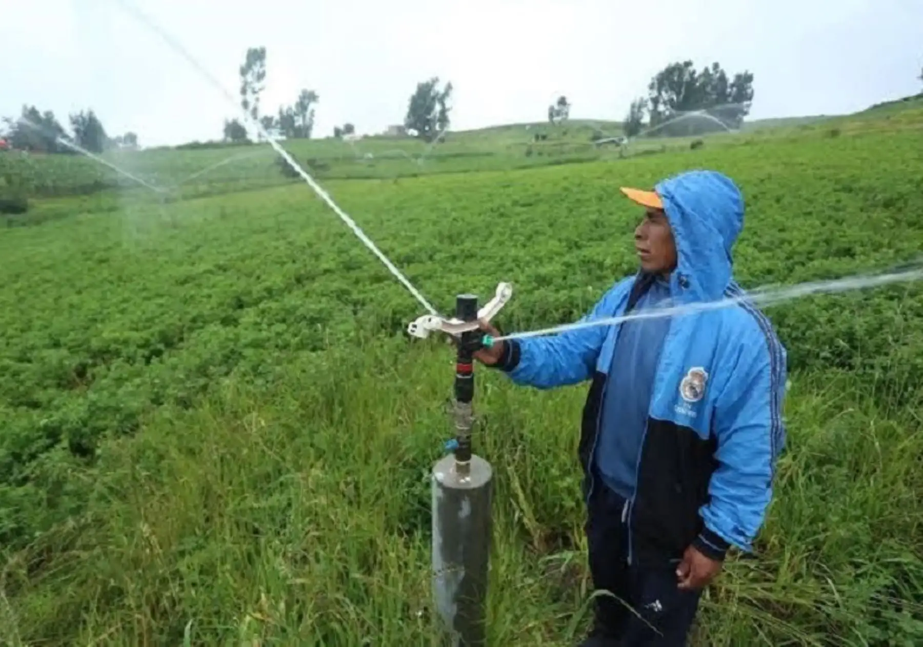 Invierten S/ 26 millones para mejorar riego agrícola en cuatro regiones