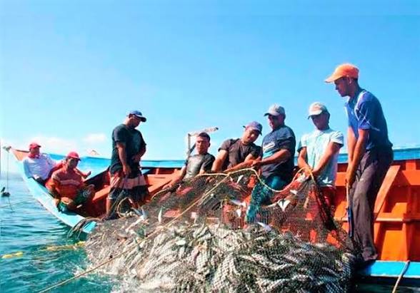 Pescadores artesanales exigen al nuevo gobierno ardua lucha contra embarcaciones depredadoras del mar
