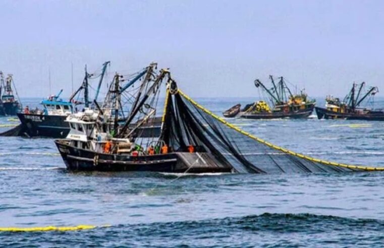 Más de mil embarcaciones artesanales peruanas ya operan fuera de las 200 millas