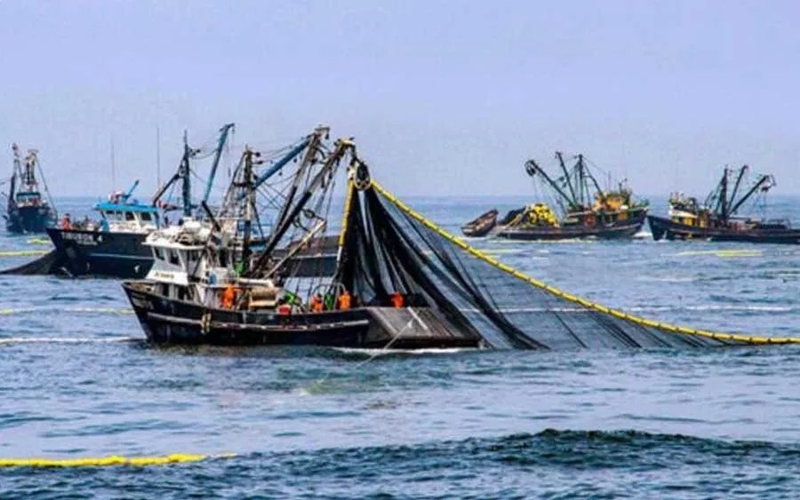 Más de mil embarcaciones artesanales peruanas ya operan fuera de las 200 millas