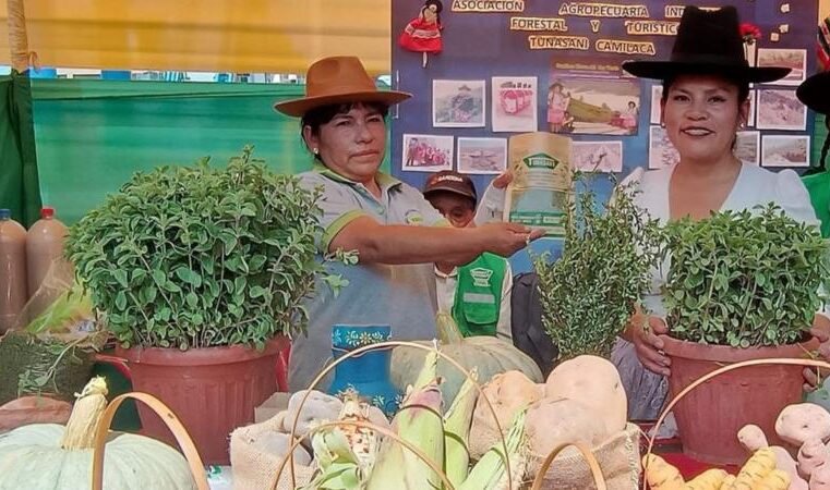Lidera producción nacional de orégano y alista Festival Regional