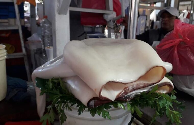 KILO DE POTA A S/ 1. Conoce los precios de los pescados y mariscos en Río Seco