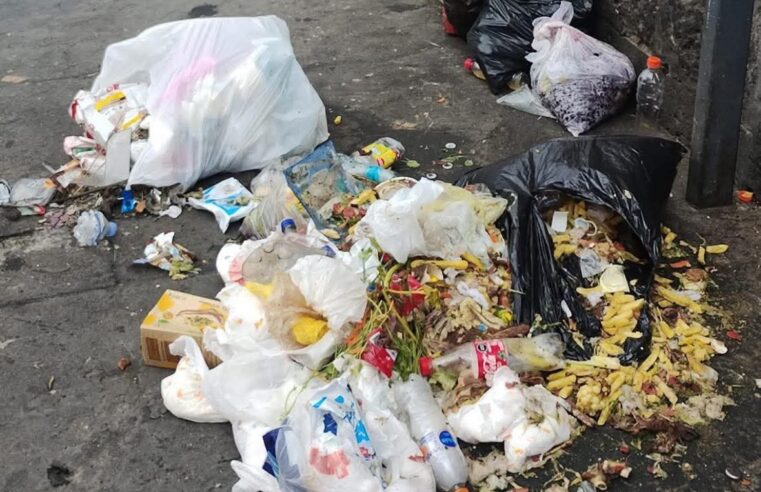 Municipalidad de Arequipa apertura número para denunciar a cochinos