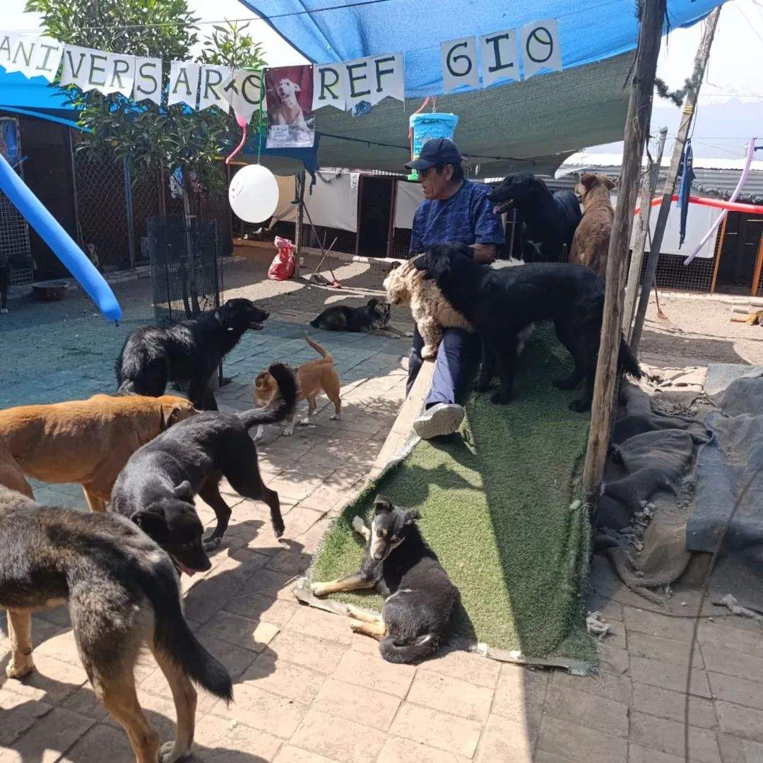 Quiénes siempre trabajan por Arequipa sin cobrar un sol