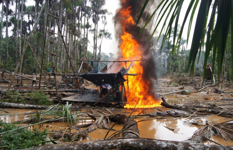 Minería ilegal arrasa más de 500 hectáreas en Tambopata