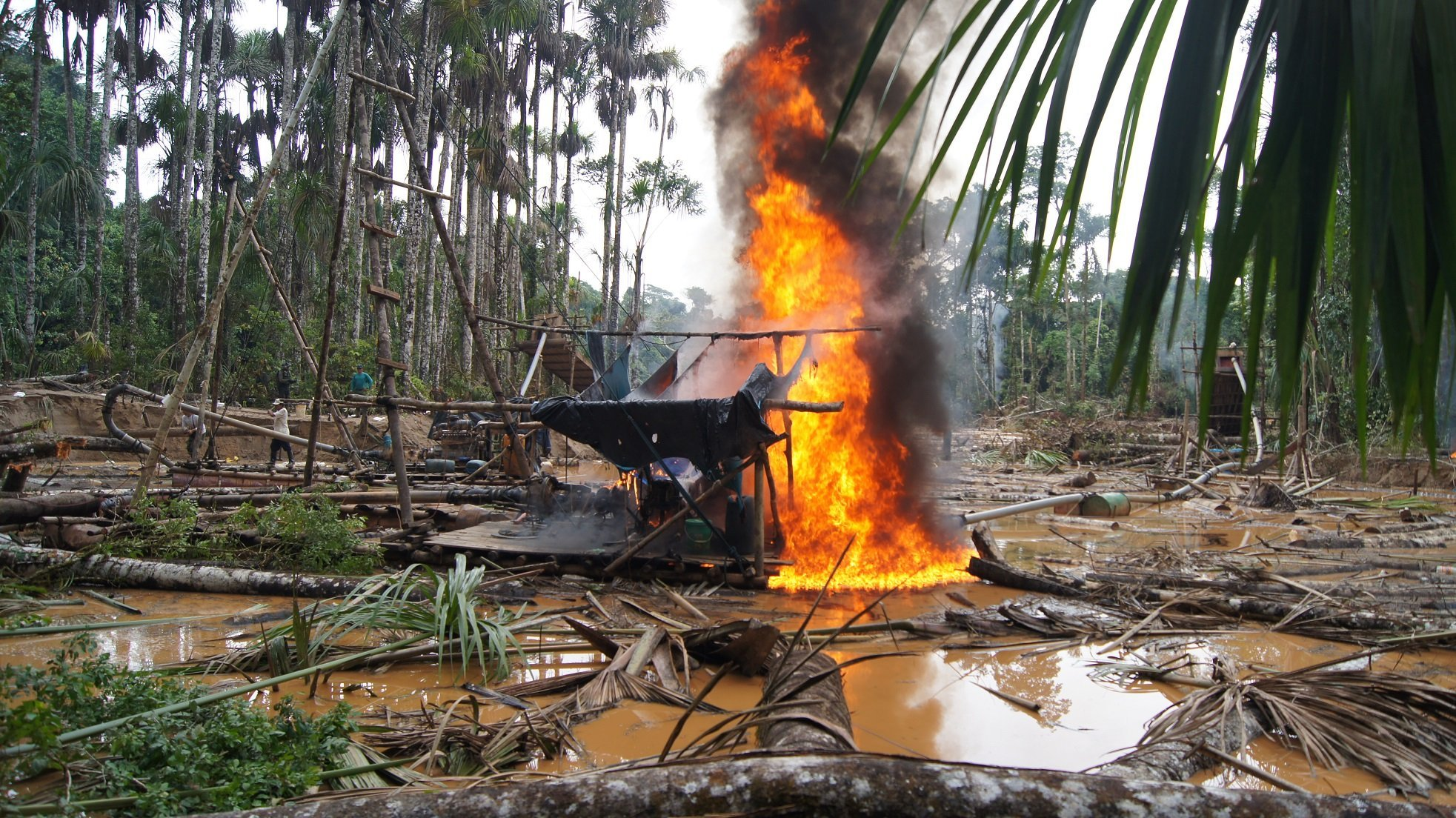 Minería ilegal arrasa más de 500 hectáreas en Tambopata