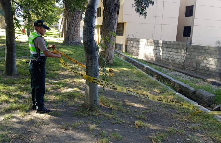 Hallan restos calcinados en el parque Selva Alegre.