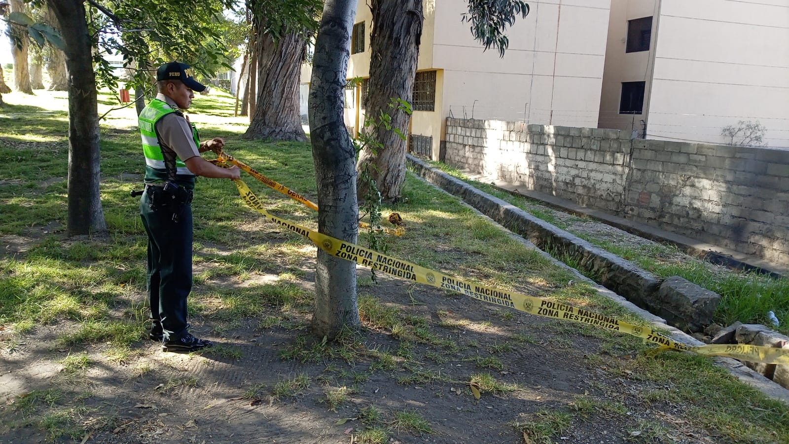 Hallan restos calcinados en el parque Selva Alegre.