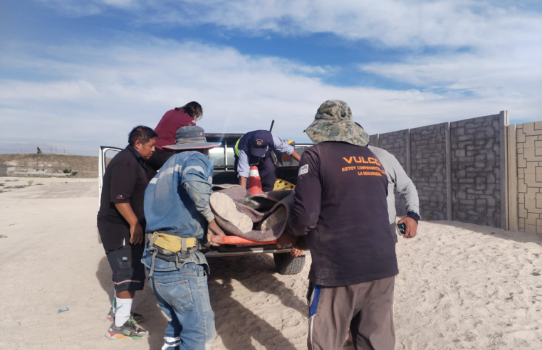 Obrero queda grave tras ataque de jauría en Yura