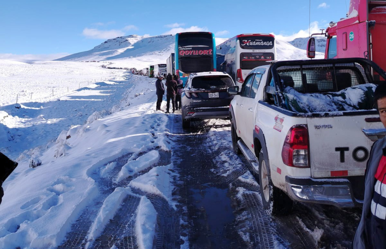 Nevadas afectan ganado y dificultan el tránsito en zonas altas de Arequipa