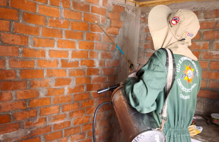 Geresa realiza rociado en viviendas de Tiabaya para prevenir enfermedad de Chagas