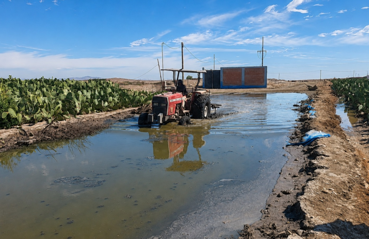 Colapsó de desagüe expone a agricultores en La Joya