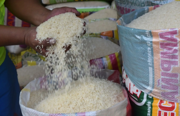 Arroceros anuncian paro para el 25 de mayo contra importaciones