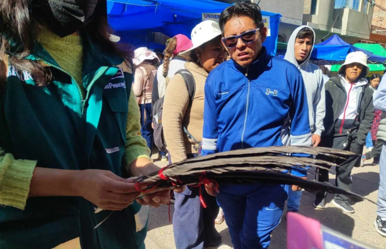 Intensifican operativos contra el tráfico ilegal de fauna silvestre en feria Alasitas