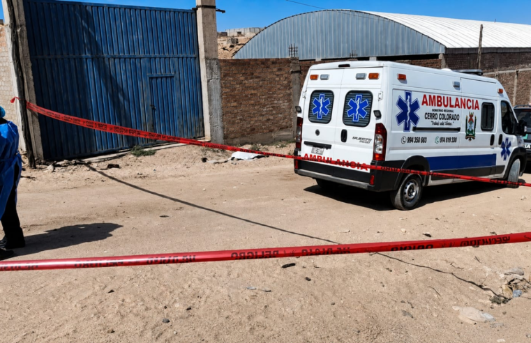 Jauría mata a adulta mayor en distrito de Cerro Colorado.