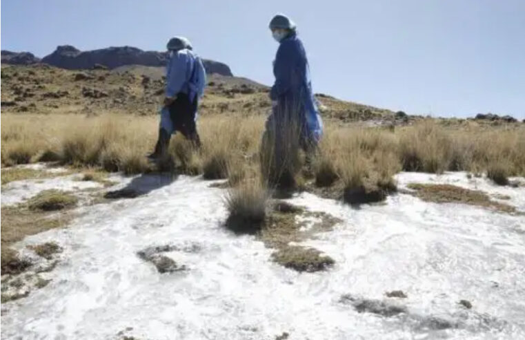Descenso de temperatura nocturna pone en riesgo a casi un millón de personas