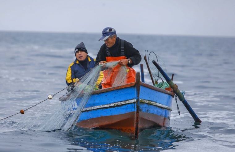 Día del Pescador: el esfuerzo que sostiene la mesa de miles de familias