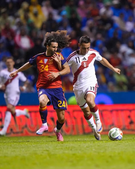 Menezes asegura que la selección llegará bien a partidos oficiales