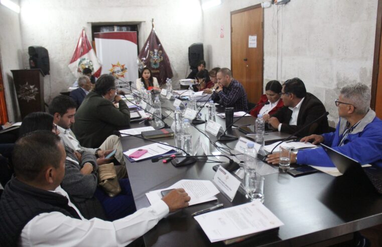 Consejeros dejarían temporalmente sus cargos por campaña electoral