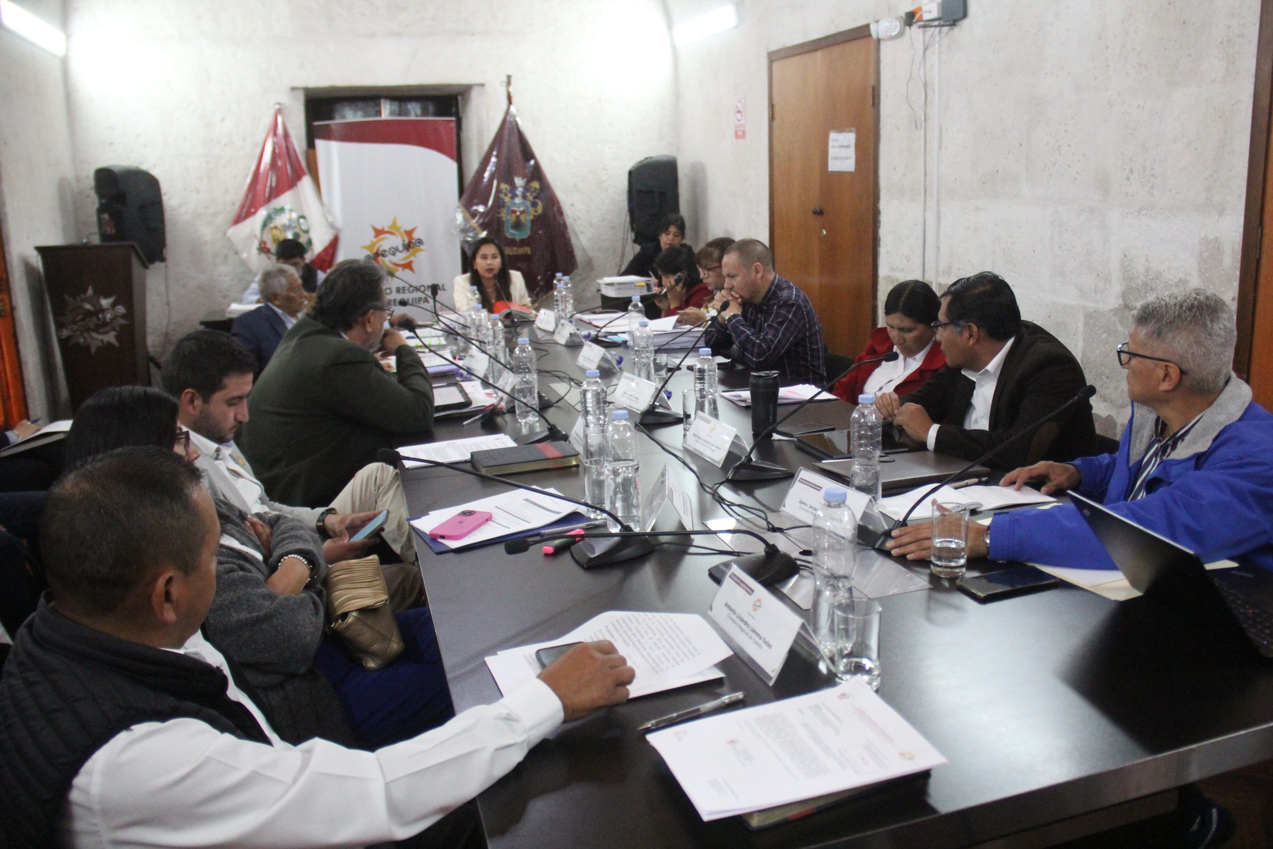 Consejeros dejarían temporalmente sus cargos por campaña electoral