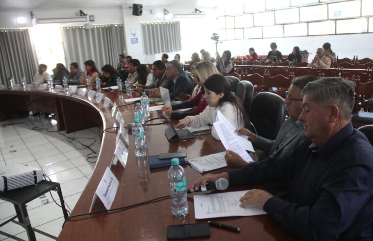 MPA espera resolución del JNE para incorporación temporal de regidores