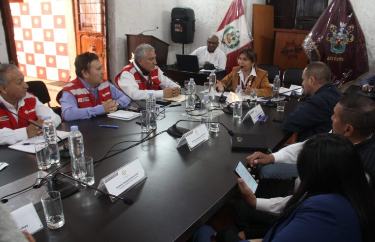 Iren Sur requerirá especialistas que Arequipa aún no tiene