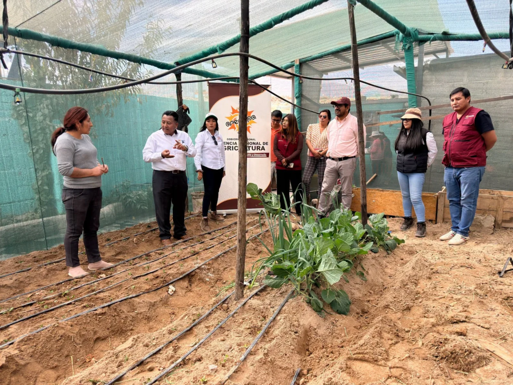 Buscan implementar biohuertos orgánicos en ollas comunes