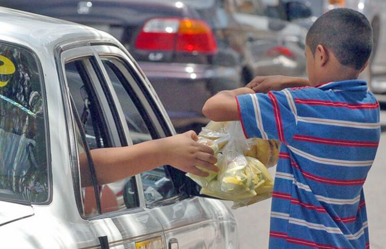 Día Mundial contra el Trabajo Infantil: ningún niño debería trabajar para sobrevivir
