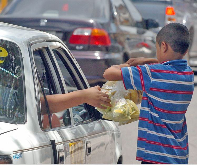 Día Mundial contra el Trabajo Infantil: ningún niño debería trabajar para sobrevivir