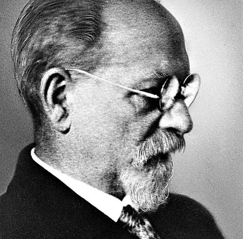 HUSSERL Y LA FENOMENOLOGIA