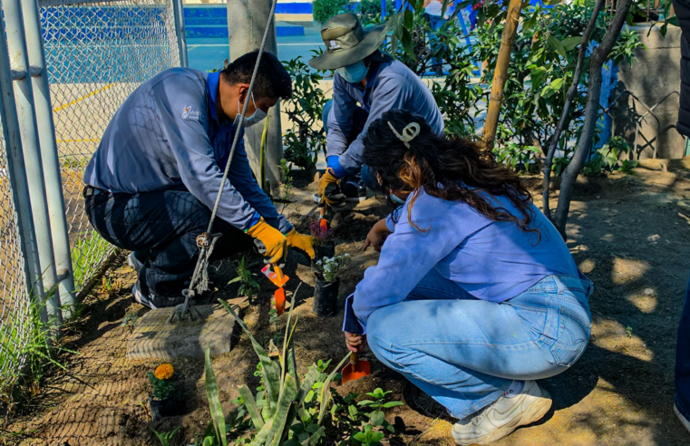 Impulsa forestación en colegio Muñoz Nájar por el Día Mundial del Medio Ambiente