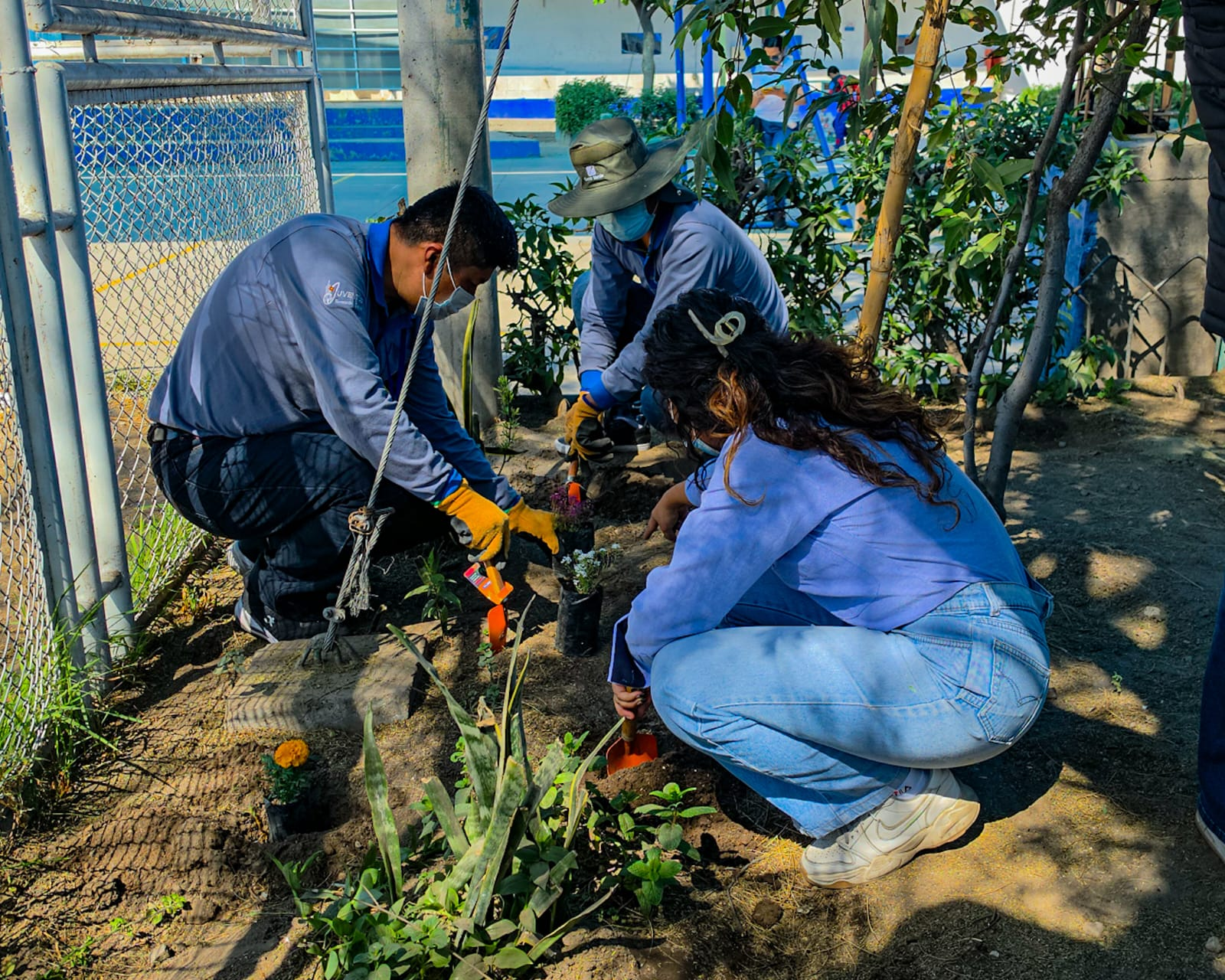 Impulsa forestación en colegio Muñoz Nájar por el Día Mundial del Medio Ambiente