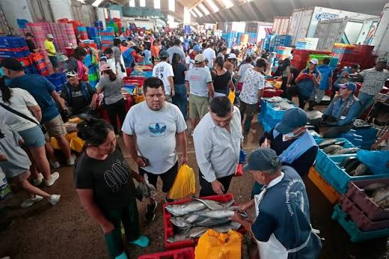 Comerciantes garantizan abastecimiento de productos marinos pese a friajes