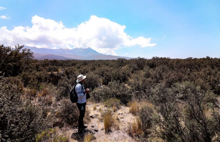 Cambios normativos retrasan reconocimiento de 26 ecosistemas frágiles en Arequipa